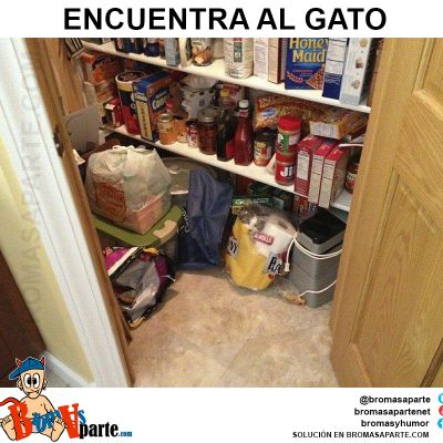 juegos-encuentra-al-gato