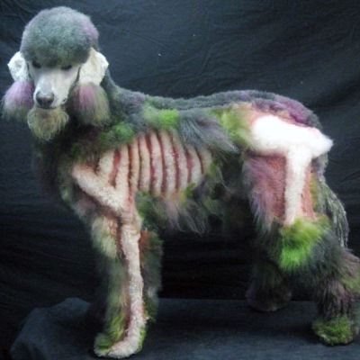 mejores-disfraces-para-animales-halloween-2