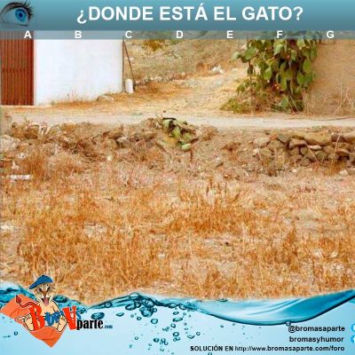 solucion-juego-agudeza-visual-donde-esta-el-gato-1