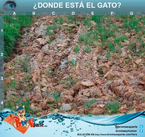 solucion-juego-agudeza-visual-donde-esta-el-gato-2