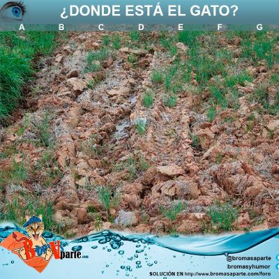 solucion-juego-agudeza-visual-donde-esta-el-gato-2